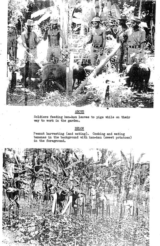Two Further Extracts from the 1971 RAAEC Newsletter - Two Further Extracts from the 1971 RAAEC Newsletter -
